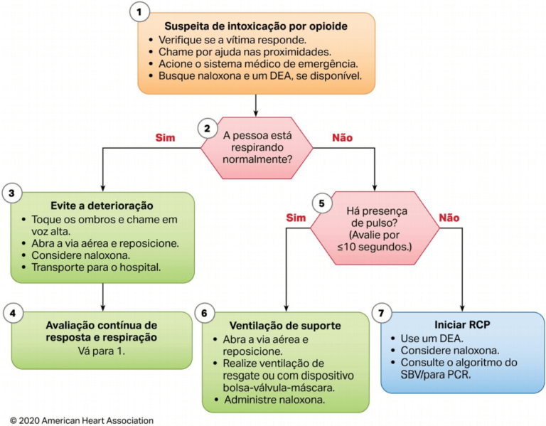 American Heart Association 2020 Português PDF | AHA 2020