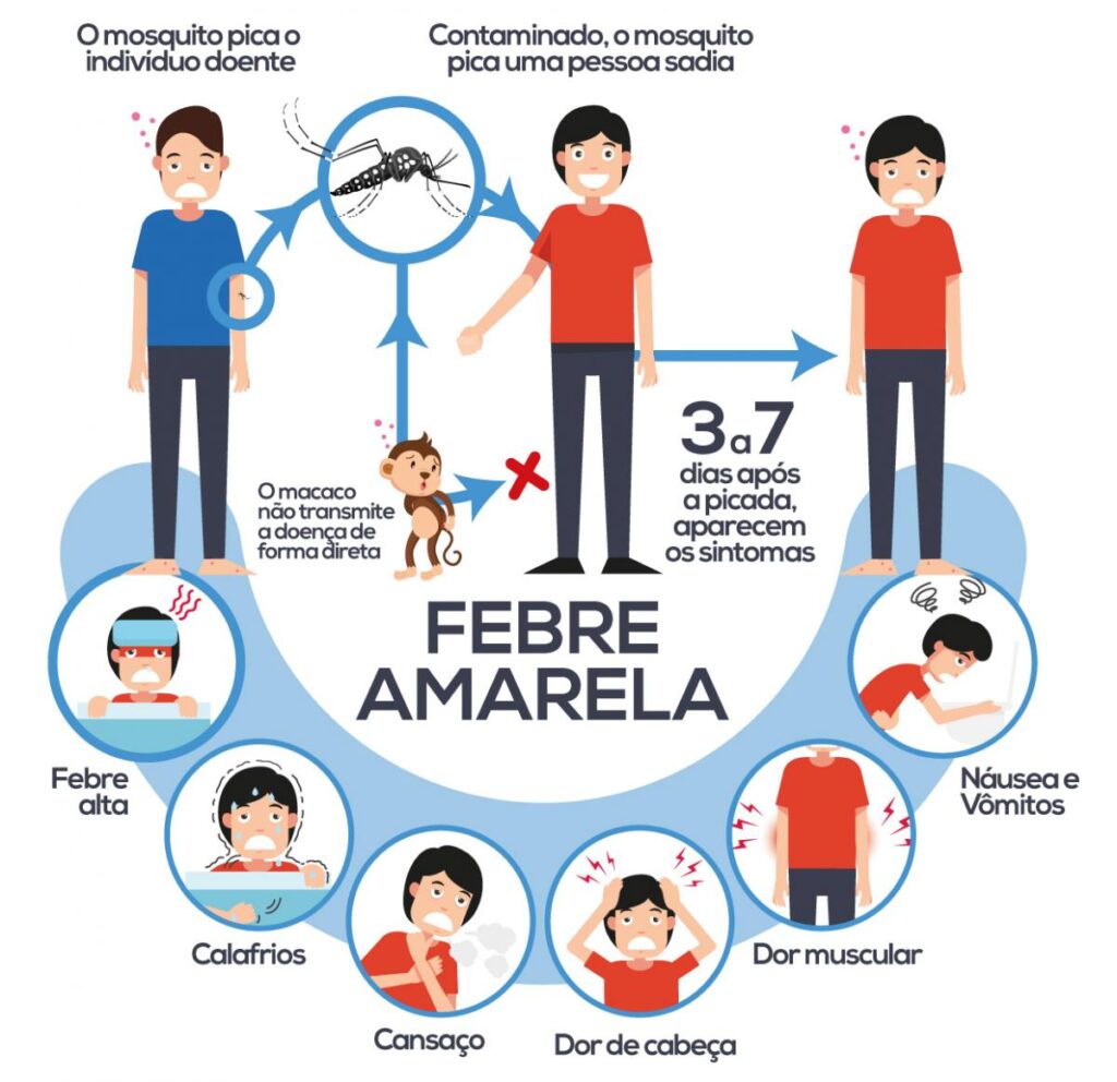 febre amarela sintomas sintomas da febre amarela sintomas febre amarela